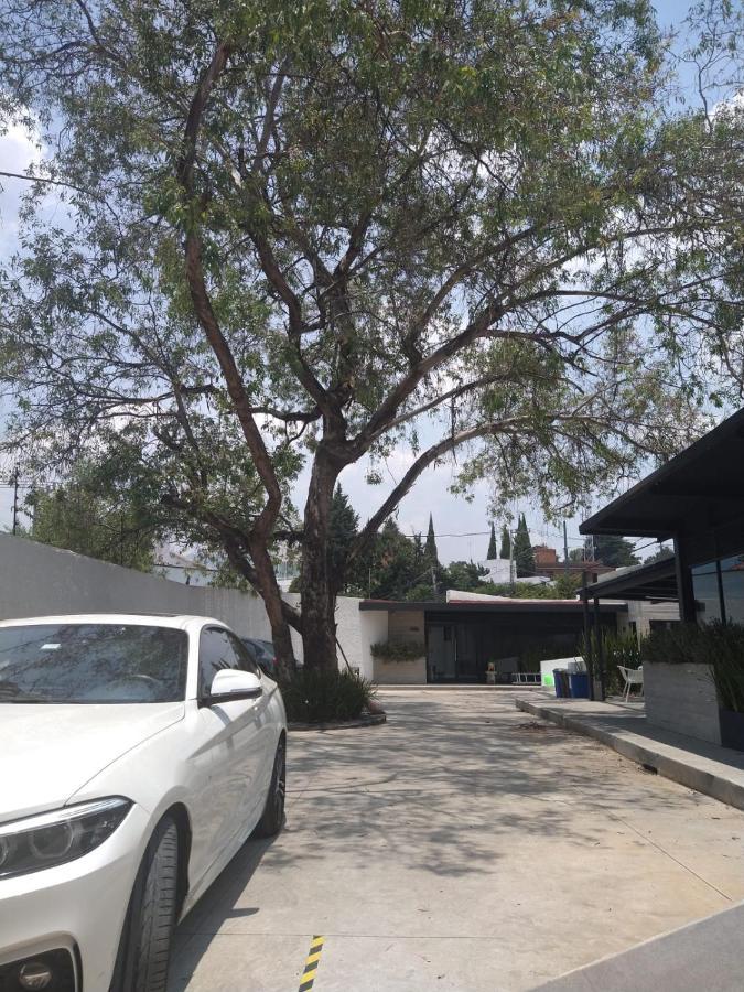 Casa Bonsai Bed & Breakfast Kota Meksiko Bagian luar foto